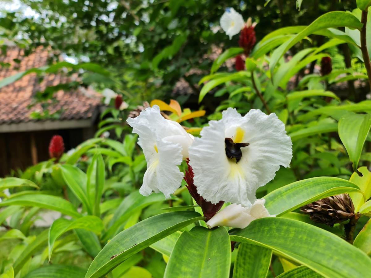 Villa Kayu Yogyakarta Luaran gambar